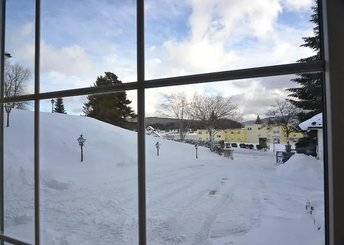 Schwarwald Schluchsee