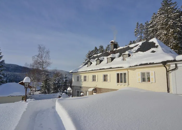 Schwarwald * Schluchsee